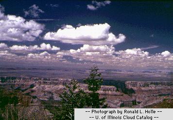 [ small cumulus clouds, Ronald Holle, University 
of Illinois Cloud Catalog  ]